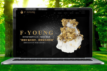 ���ָ������ﱦʯ